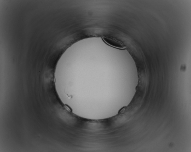 X0000101190284200807181518