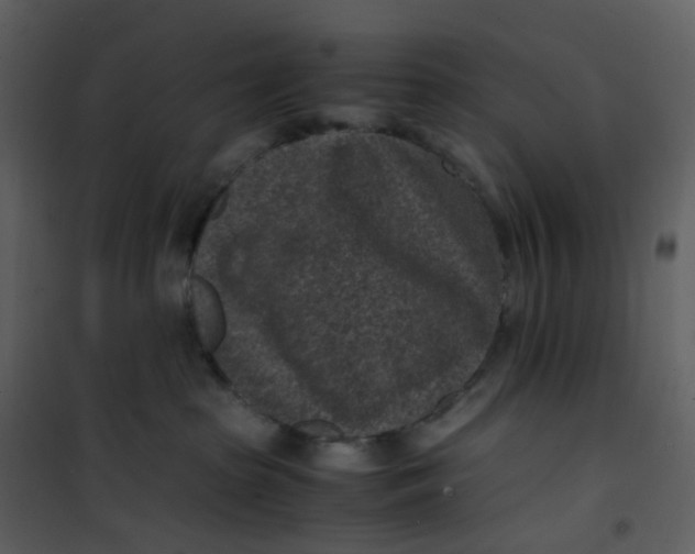 X0000101190285200807181518