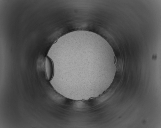 X0000101190287200807181518