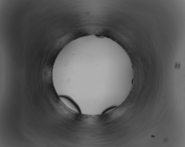 X0000101190288200807181518