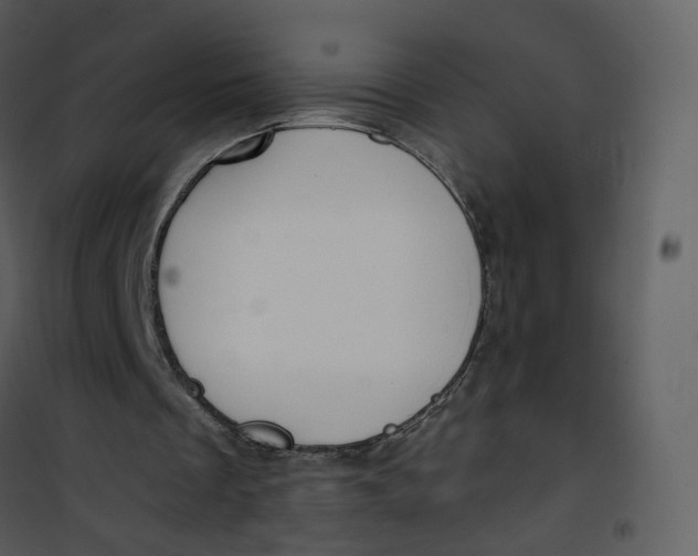 X0000101190289200807181517