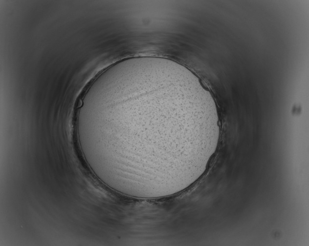 X0000101190290200807181517