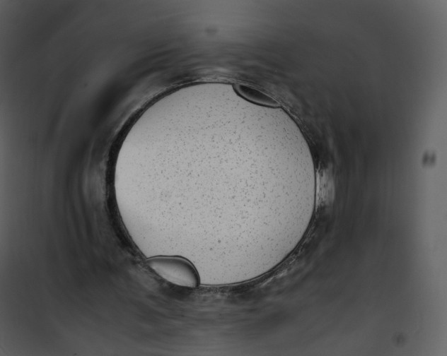 X0000101190291200807181517