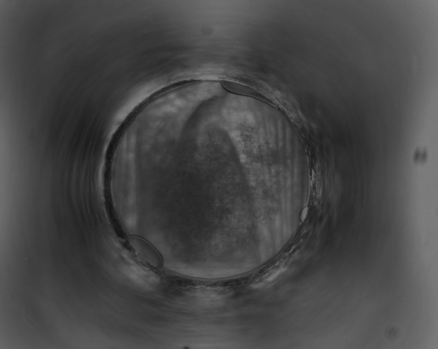 X0000101190292200807181517