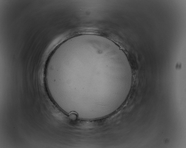 X0000101190293200807181517