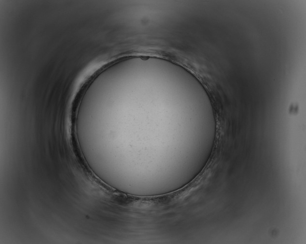 X0000101190294200807181517