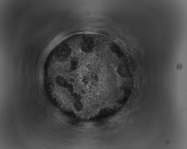 X0000101190295200807181517
