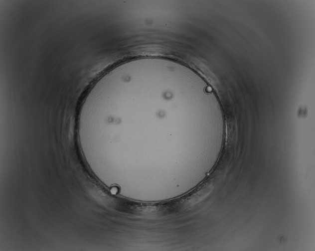 X0000101190301200807181517
