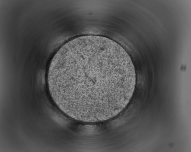 X0000101190302200807181517
