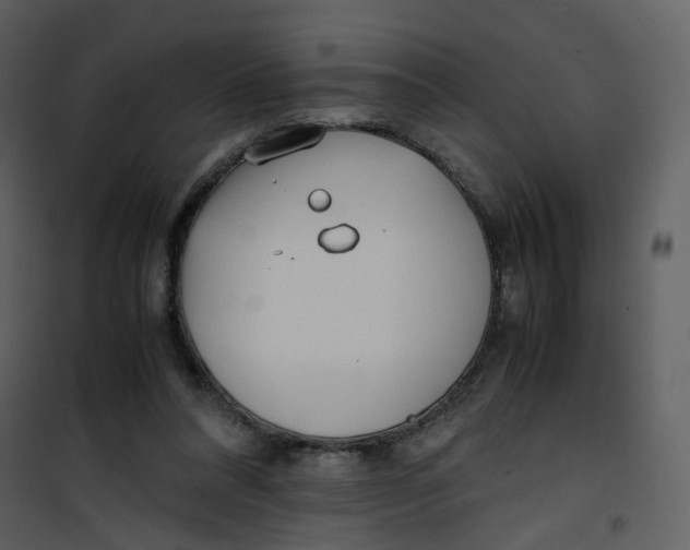 X0000101190304200807181517
