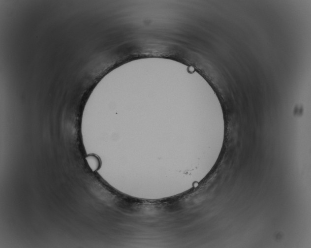 X0000101190305200807181517