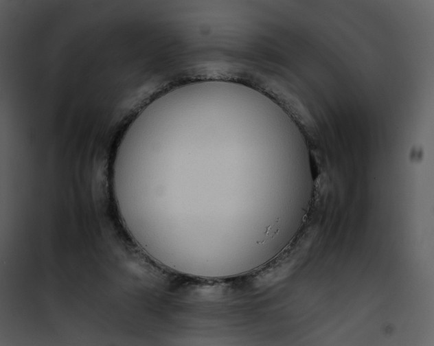 X0000101190306200807181517