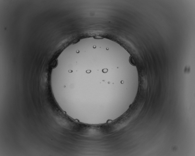 X0000101190308200807181517