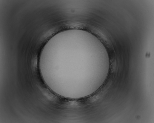 X0000101190310200807181517