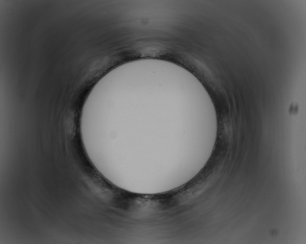 X0000101190311200807181517