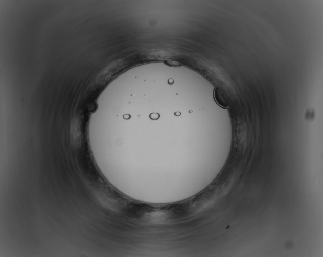 X0000101190312200807181517