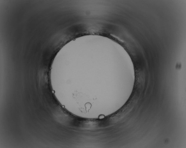 X0000101190313200807181517