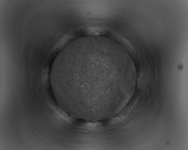 X0000101190314200807181517