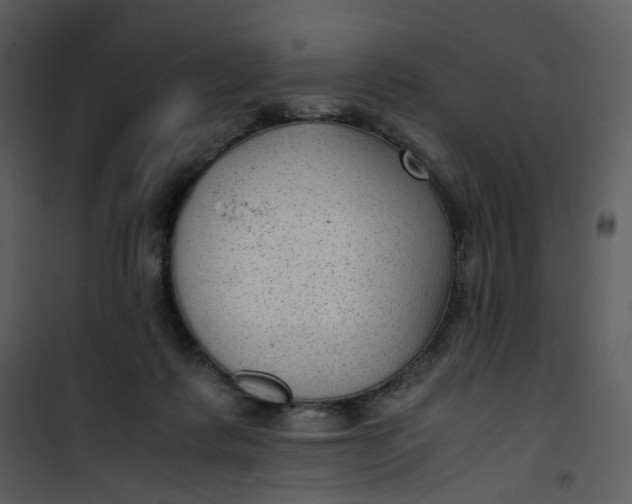 X0000101190315200807181517