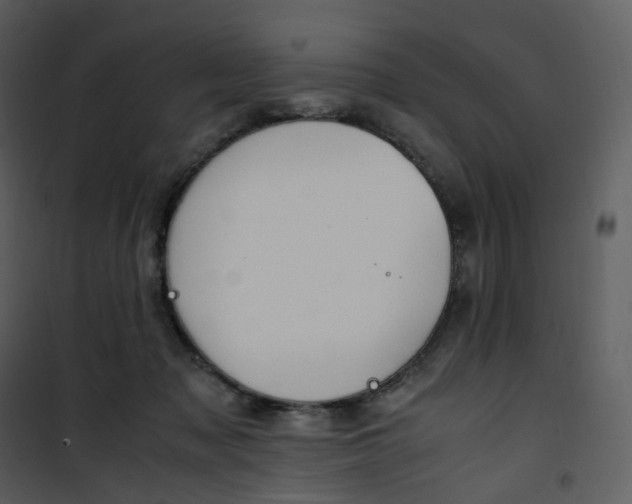X0000101190317200807181517