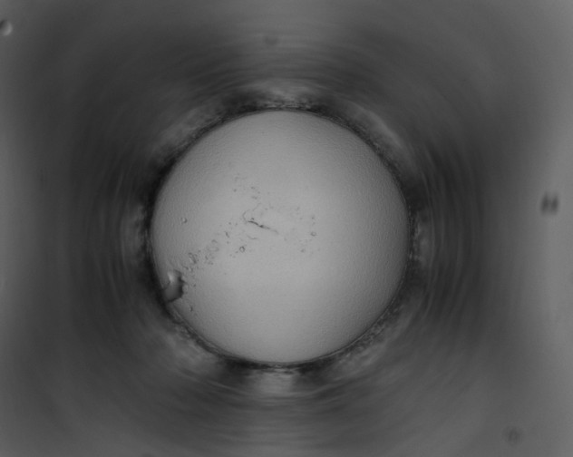 X0000101190318200807181517