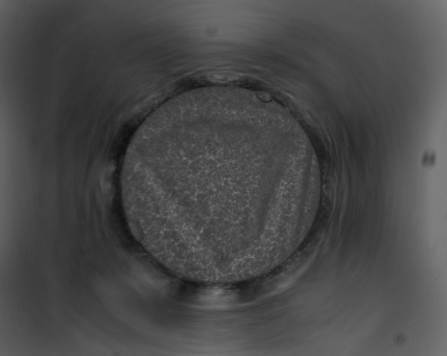 X0000101190319200807181517