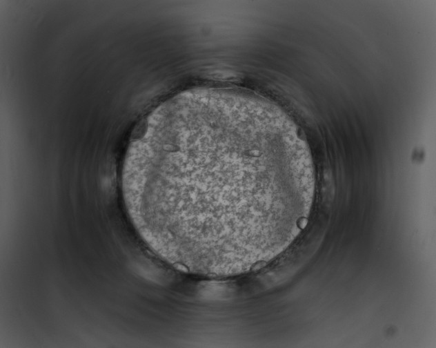 X0000101190320200807181517