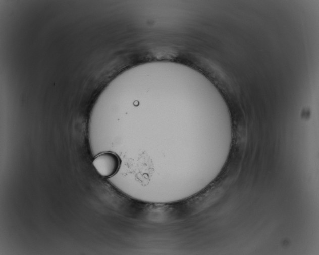 X0000101190321200807181517