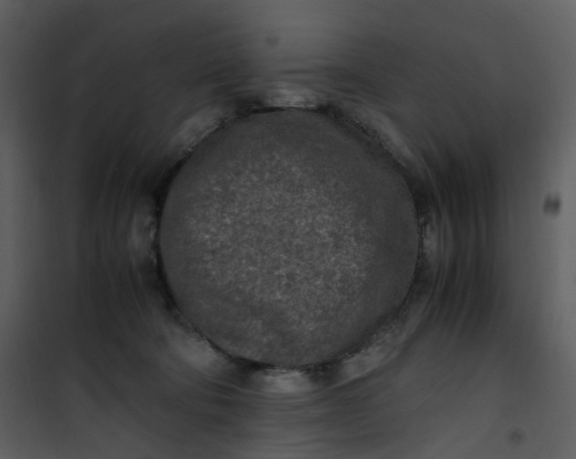 X0000101190322200807181517