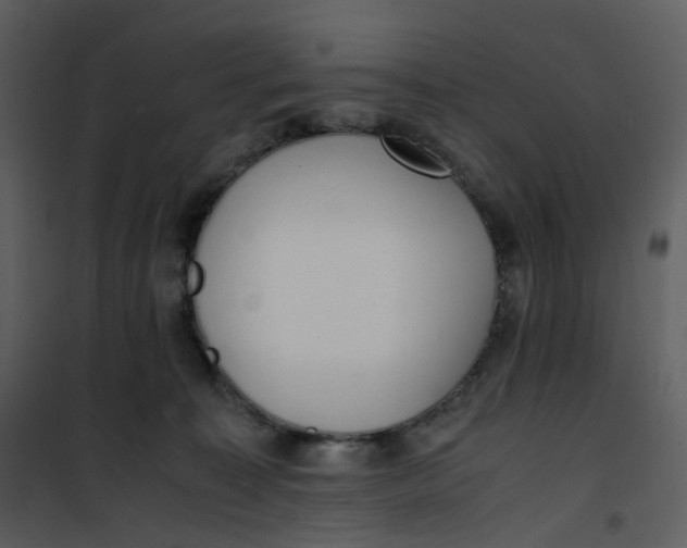 X0000101190323200807181517