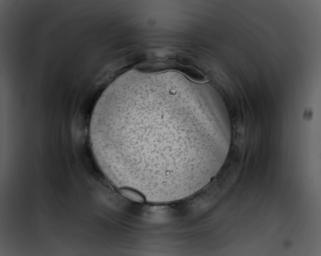 X0000101190324200807181517