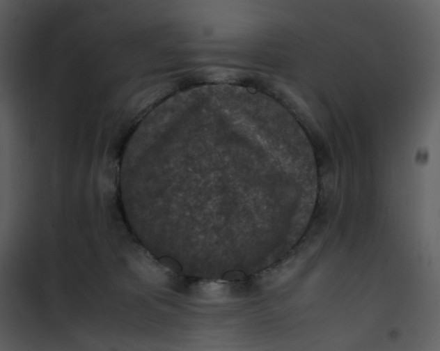 X0000101190325200807181517