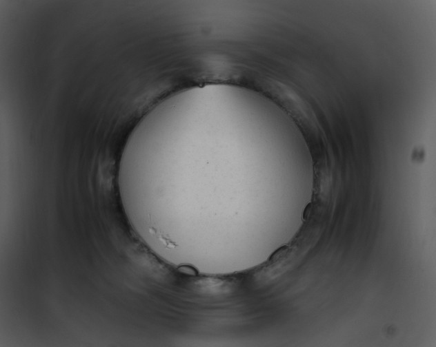 X0000101190326200807181517