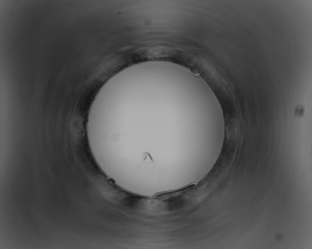 X0000101190327200807181517