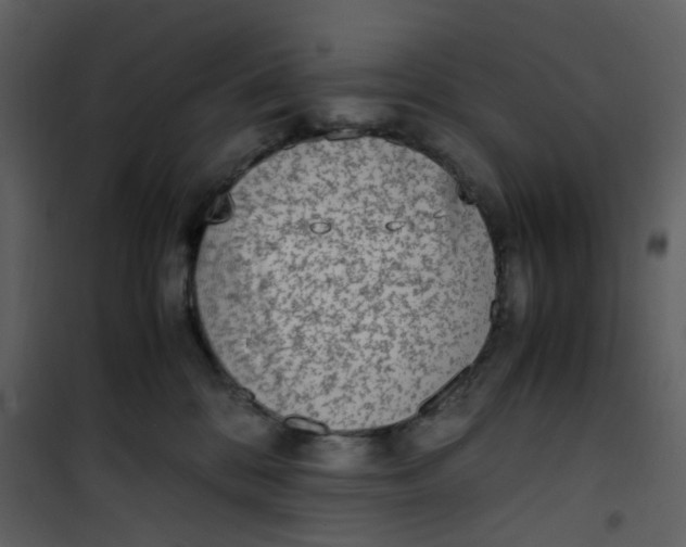 X0000101190328200807181517