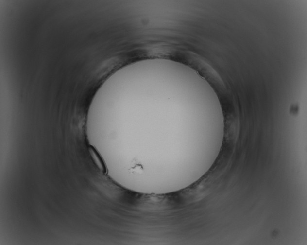 X0000101190329200807181517
