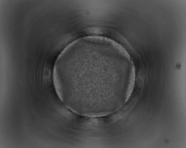 X0000101190330200807181517