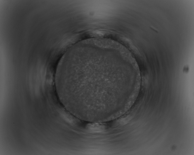 X0000101190331200807181517