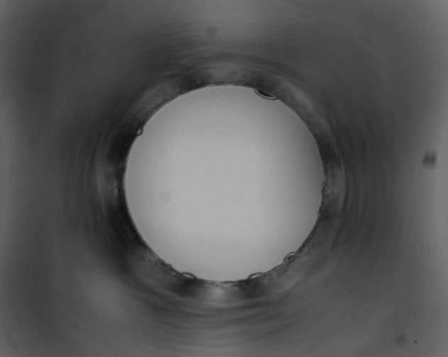 X0000101190333200807181517