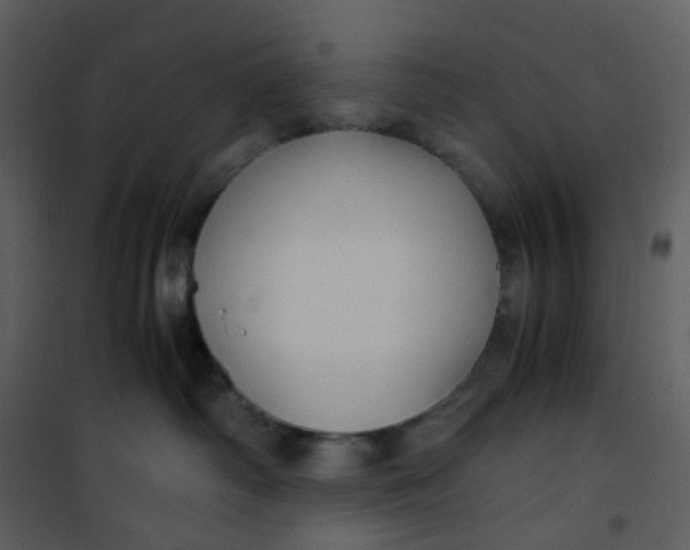 X0000101190334200807181517