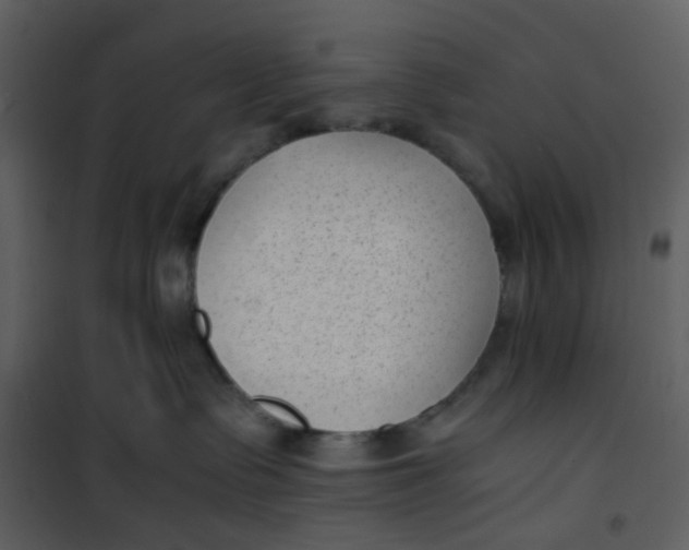 X0000101190335200807181517