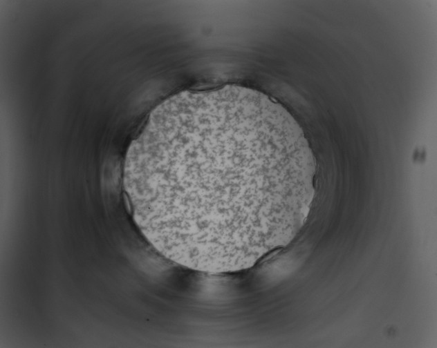 X0000101190336200807181517