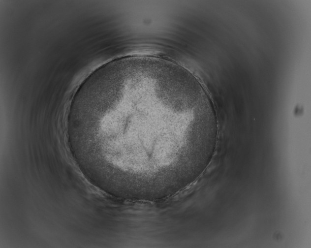 X0000101190337200807181516