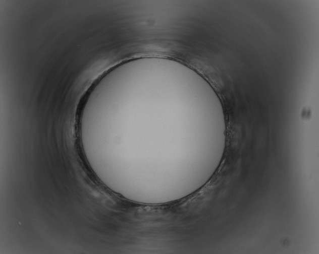 X0000101190338200807181516