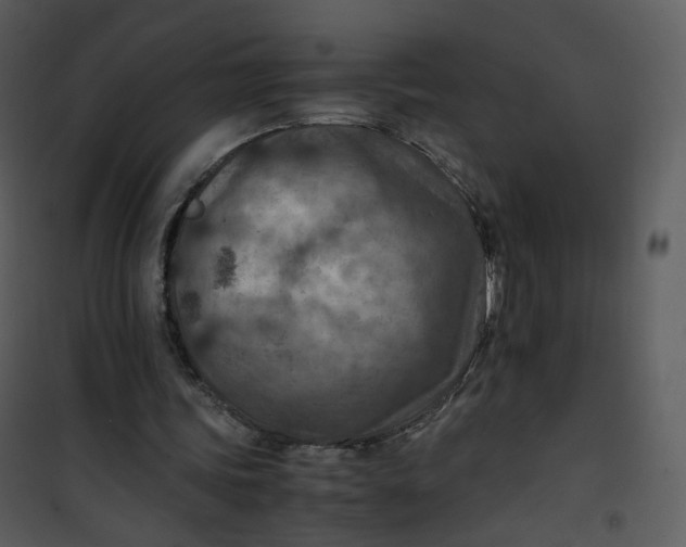 X0000101190339200807181516