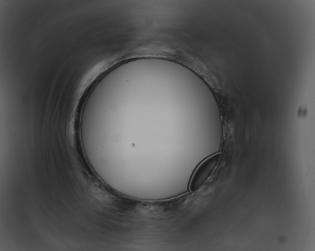 X0000101190340200807181516