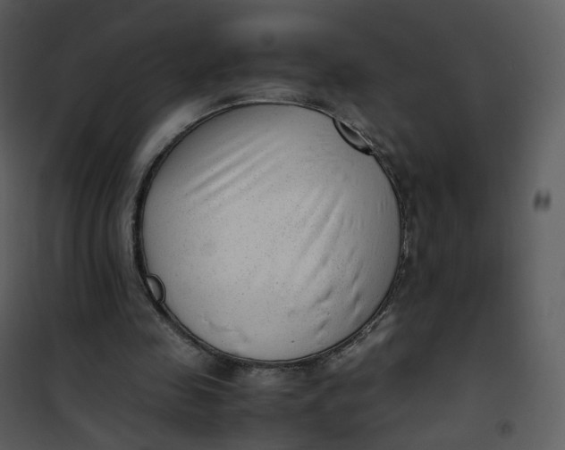 X0000101190341200807181516