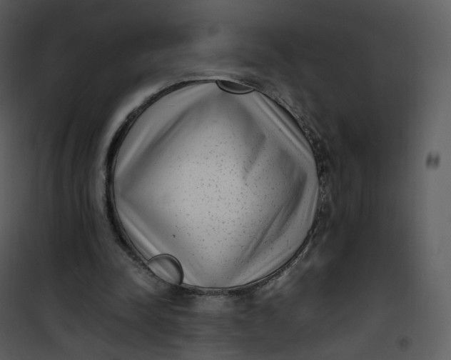 X0000101190342200807181516