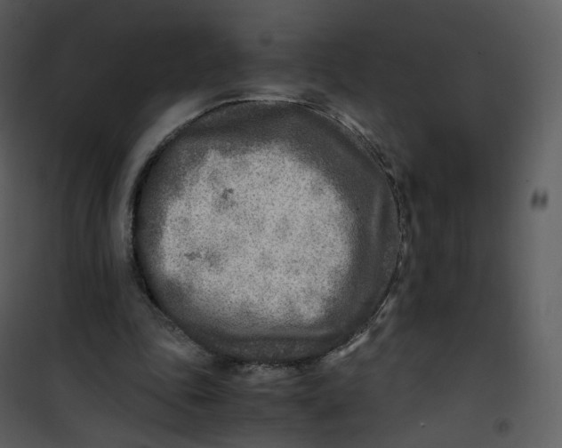 X0000101190343200807181516