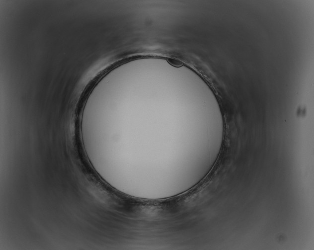 X0000101190344200807181516